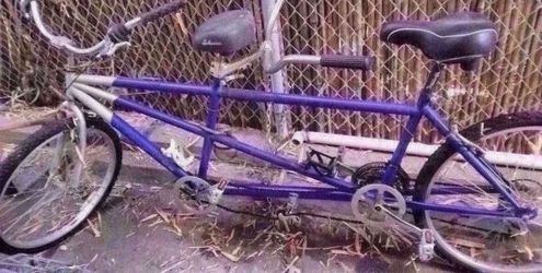 Schwinn Tandem Bicycle