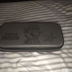 Nintendo Case