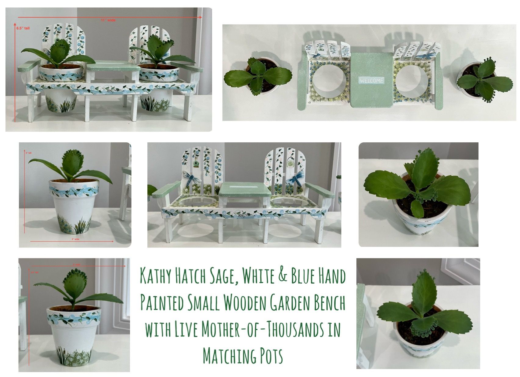 Kathy Hatch Sage/White/Blue Hand Painted Small Wooden Garden Bench w Live Mother-of-Thousands Pots