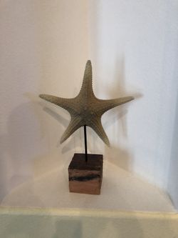 Starfish