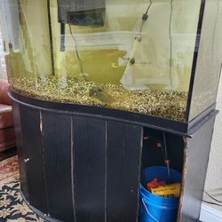 90 Gallon Wave Front Fish Tank Aquarium
