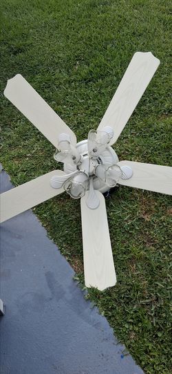 Gorgeous ceiling fan