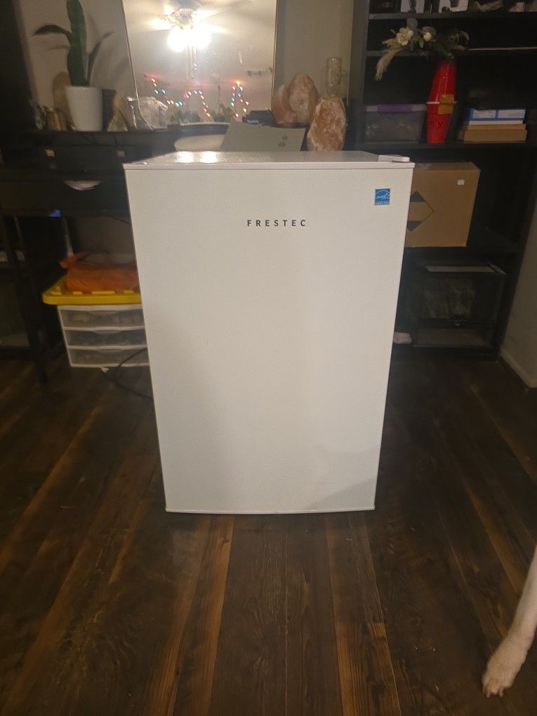 Frestec Mini Fridge 