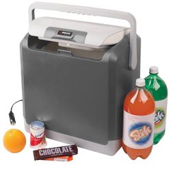 Electric Cooler/Warmer