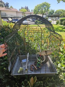 Bird Cage