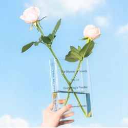 Acrylic Book Vase, Flower Vase for Room Decor Aesthetic, Unique Vases Gifts for Women, Funky Wedding/Office/Living Room/Home Decor, Home Essential Apa