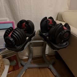 Bowflex selectech Dumbbells + Stand 
