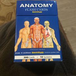 Anatomy Flash cards 300 Cards 