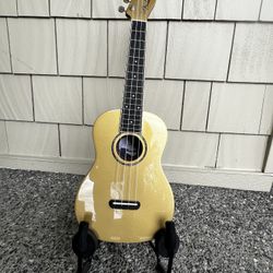 Ukulele And Stand