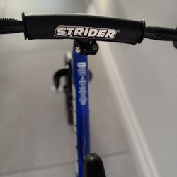 Strider