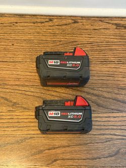 18V LXT Lithium-Ion High Capacity Battery Pack 5.0 Ah with LED Charge Level Indicator (2-Pack)