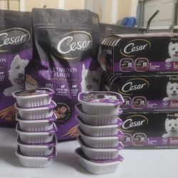 Dog Food and Food Storage Containers 