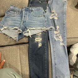 Woman Levis Pants And Short