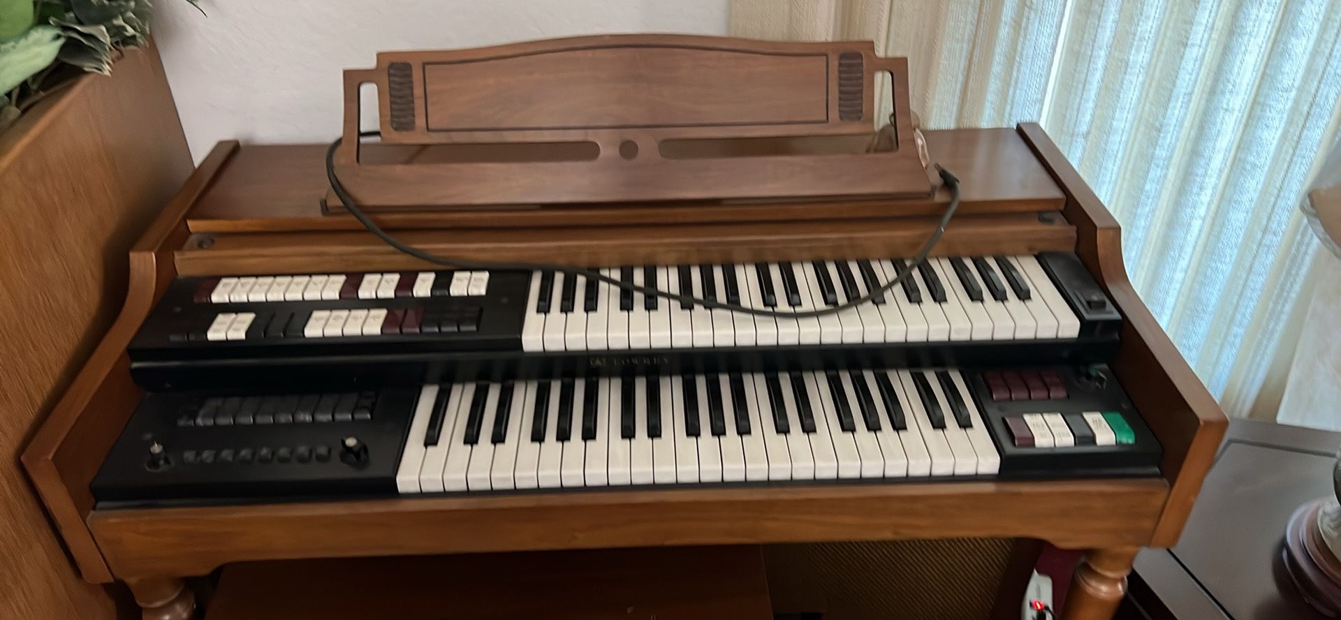 Organ