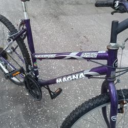 5 Speed Bike