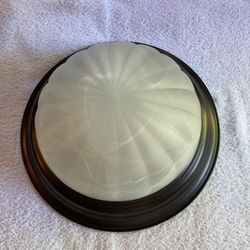 Ceiling Light Fixture 