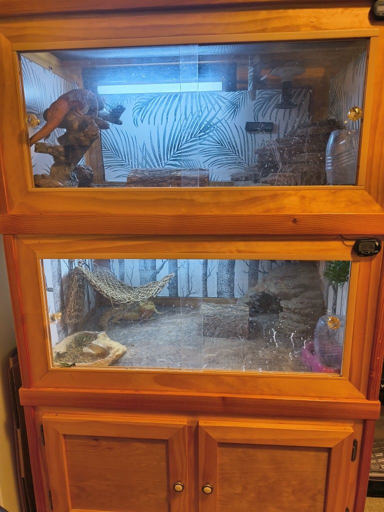 Custom Built Reptile Terrarium,All Products : American Fashion Style Bags On Sale