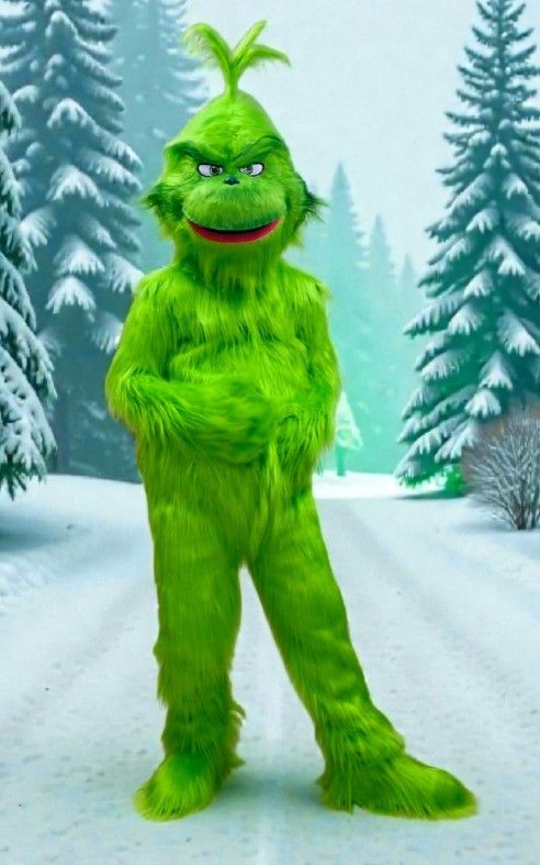 The Furry Green Troublemaker Costume Mascot For Sale