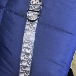 Dior Belt