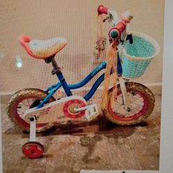 Royal Baby Star Royal Rider 12-in Bicycle With Training Wheels Like New Condition Only The Tires Are Dirty Cash Only Please