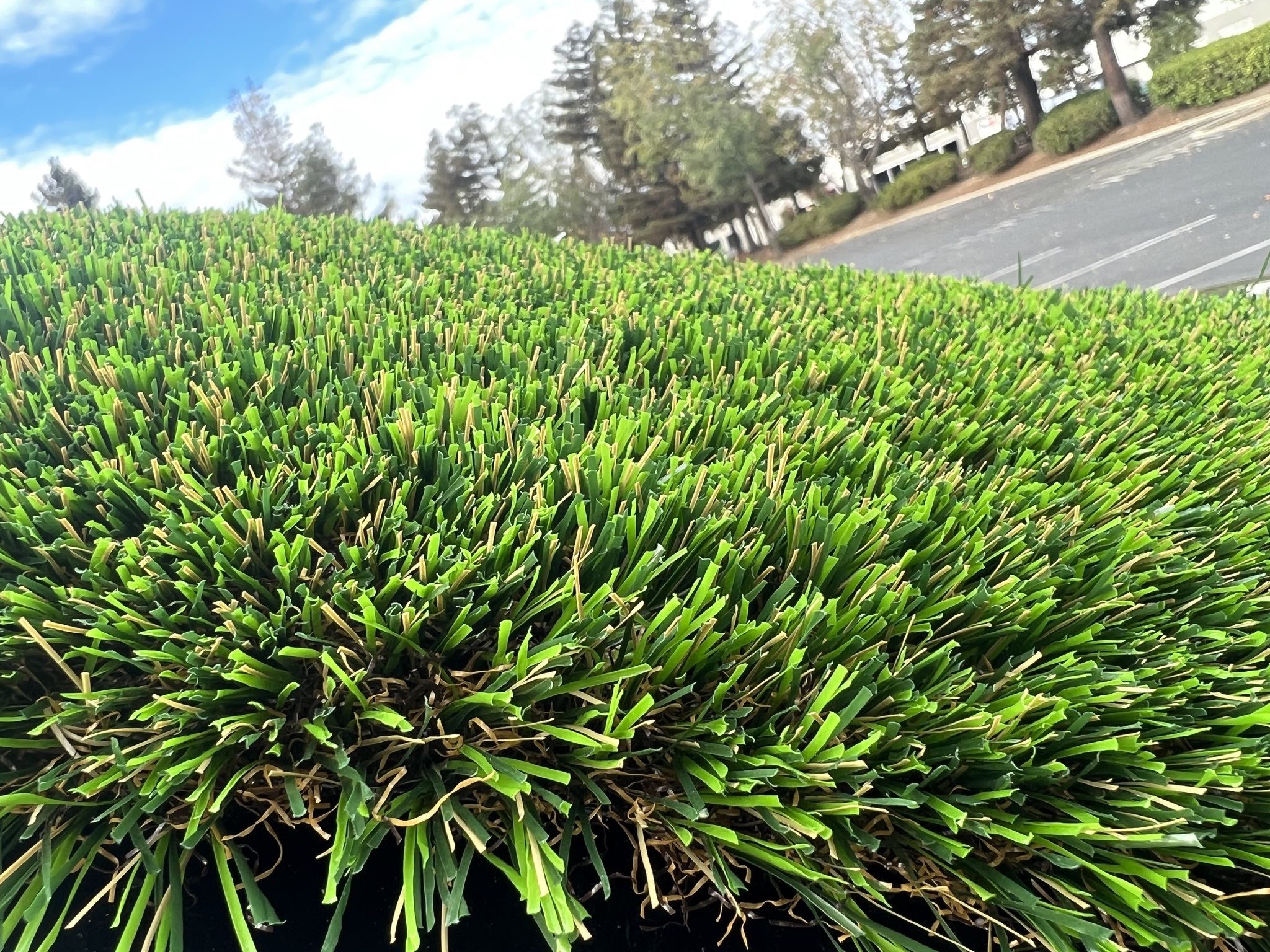 Artificial Turf 