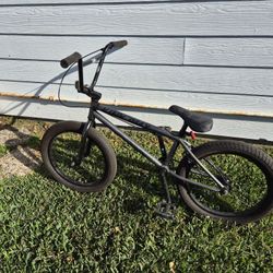 BMX And Mongoose Beast Bike 