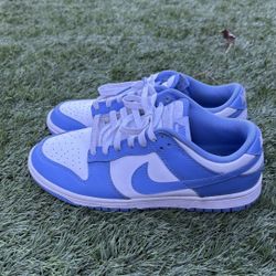Polar Blue Dunks Size 8.5