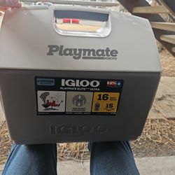 16 Qt Cooler Playmate