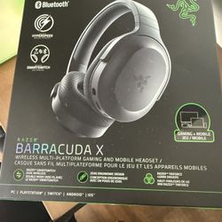 Razer Headset 