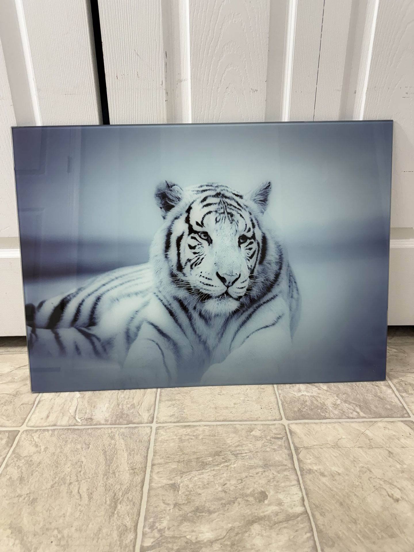 Beautiful Brand New Tempered Glass Wall Art. (MUST SELL TODAY)