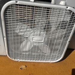 Fan