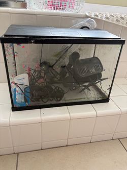 10 Gallon fish tank with filter and heater