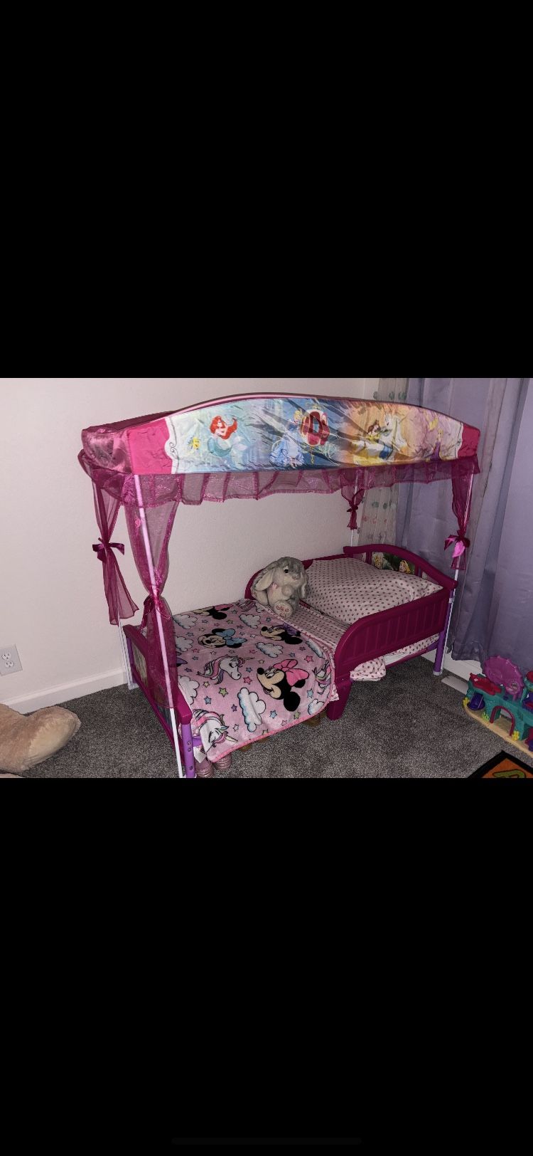 Princess Canopy Tioddler Bed $100 Cash Only