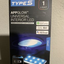 Type S Light