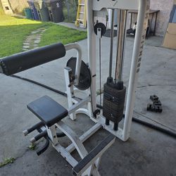 AB Abdominal And Back Fitness Workout Exercise Home Gym Weight Machine