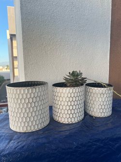 Set of 3 Metal Plant Pots With 1 Succulent White Gold