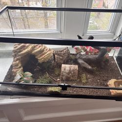 Large Reptile Tank