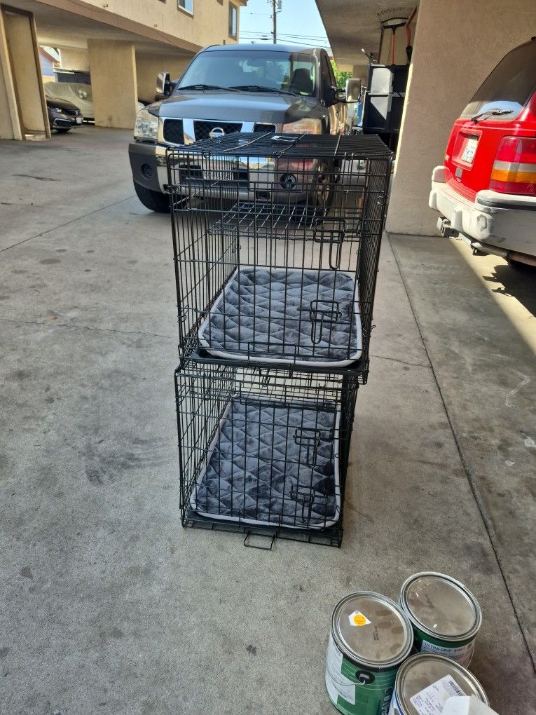 Two cages forty dollars each