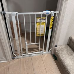 Pet Fence 