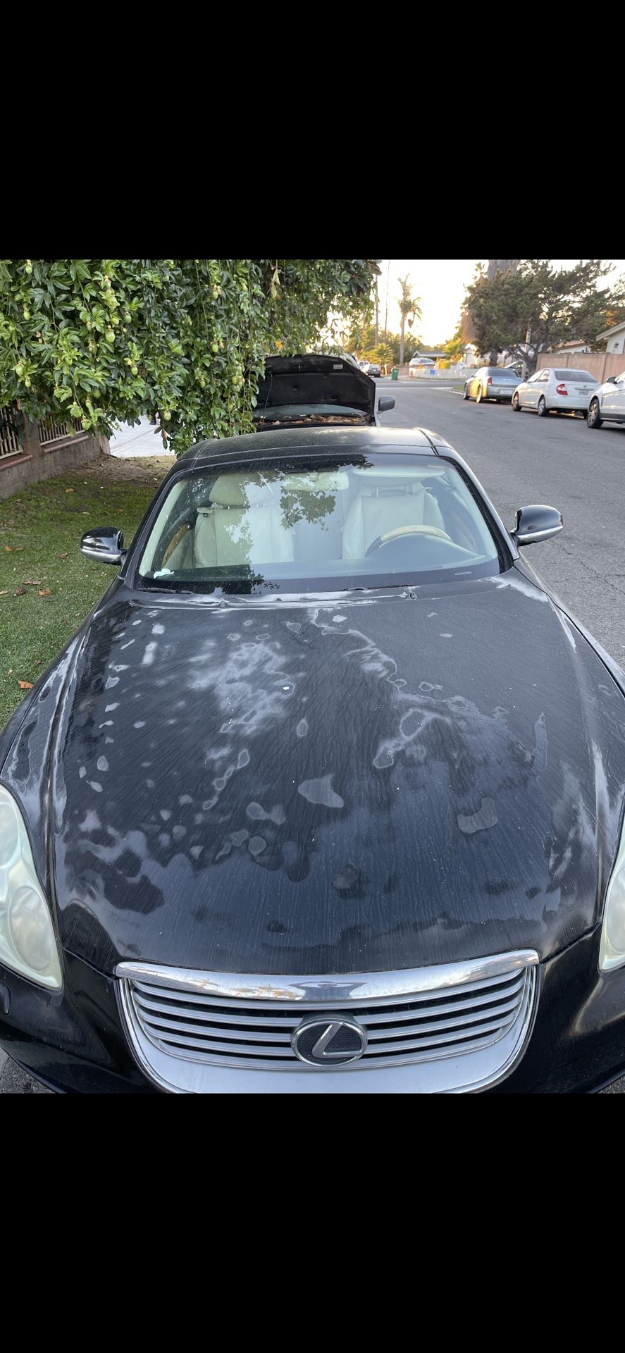 Auto Paint