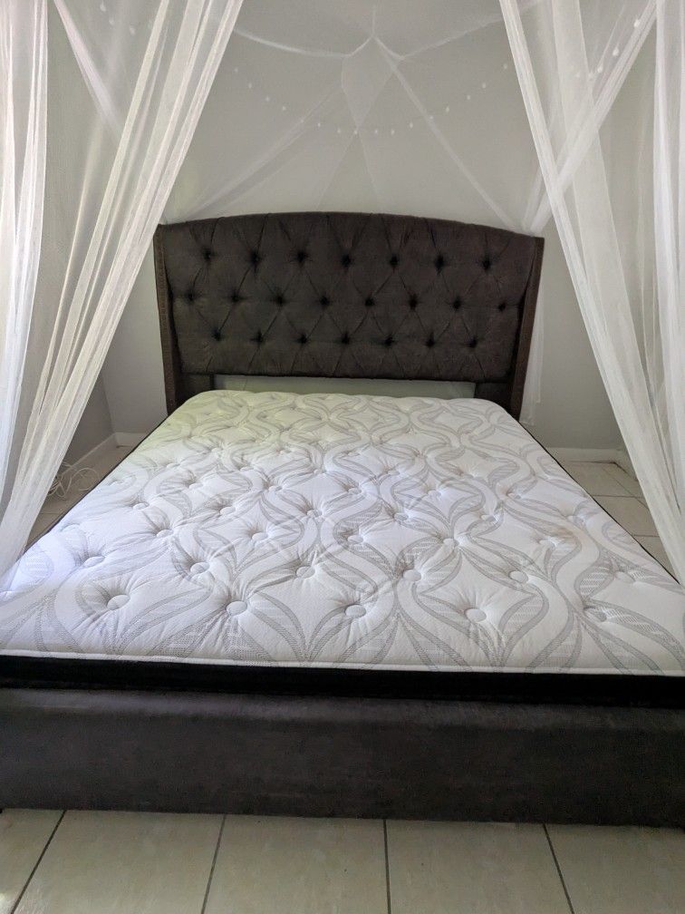 Like New King Size Bed With Split Box Spring, Frame, And Canopy