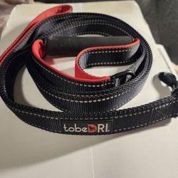 Two Handle Reflective 6 Ft Leash