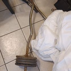 Barra Con 80 Libras Se Pesas