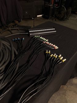 ProCo StageMaster XLR Multi-Channel Snake 24x4 100ft