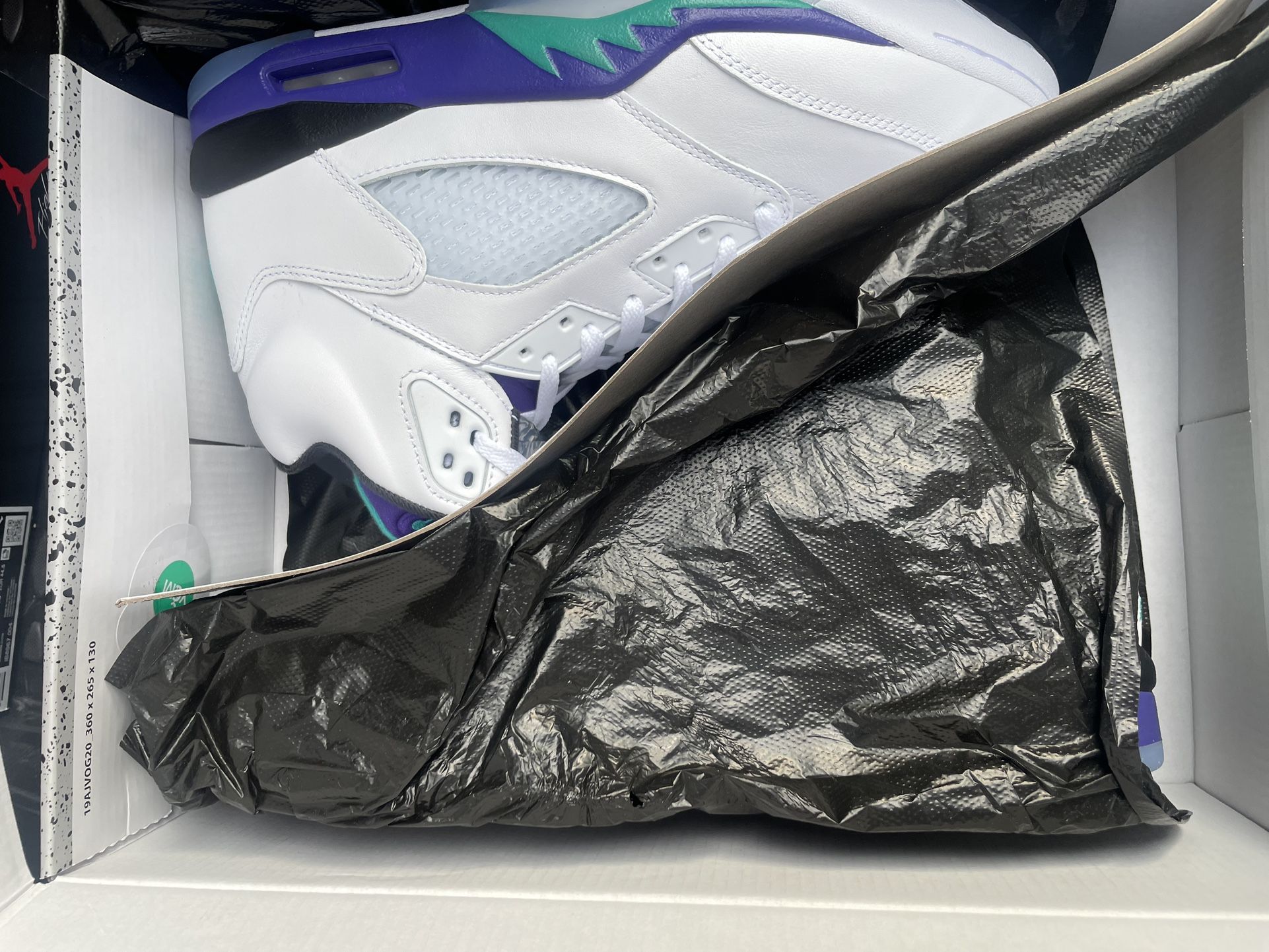 Jordan 5 Grape Size 10.5