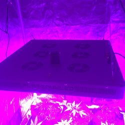 Grow Equipment 
