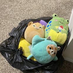 Bag Of Squishmallows 
