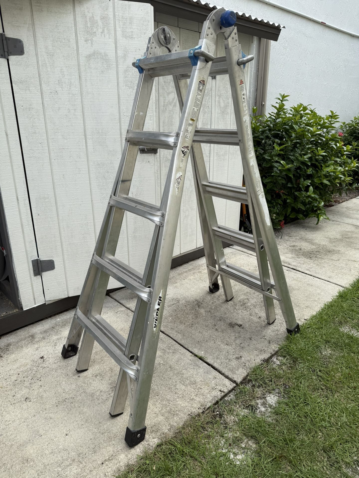 Werner Ladder