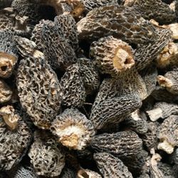 Dried Morel Mushrooms 2026 Crop. 1lb