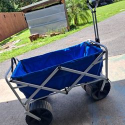 Beach Wagon